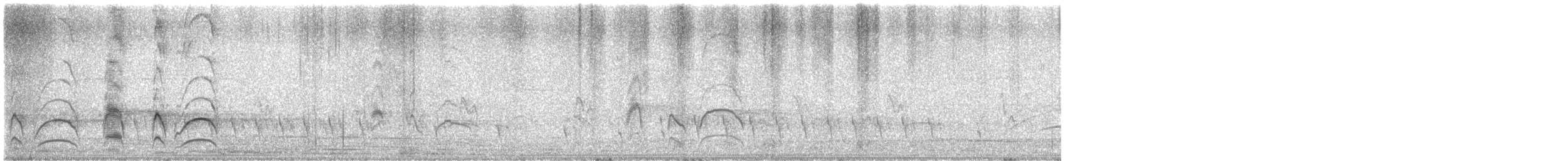 Tyran quiquivi - ML646285722