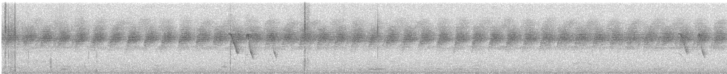 птица sp. - ML646285752