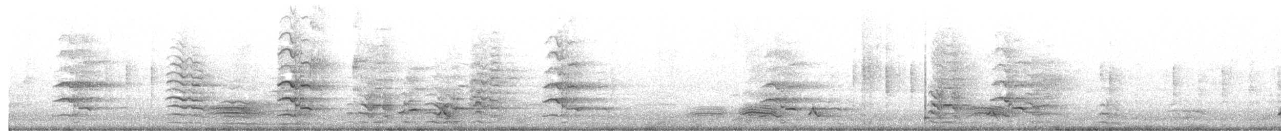 korellakakadu - ML646286240