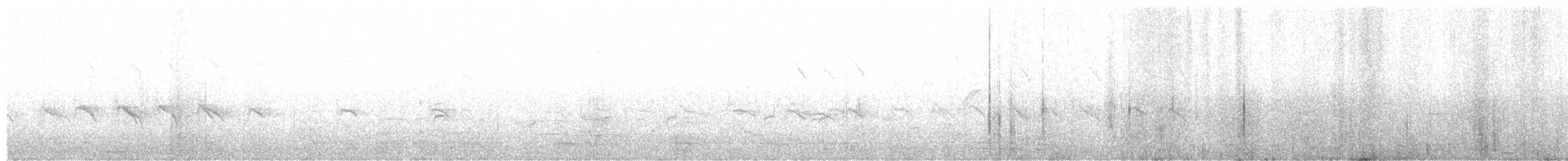 Scaly-breasted Munia - ML646286305