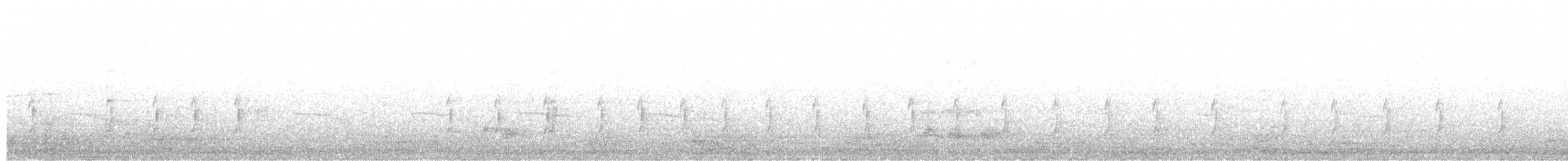 langstjertskredderfugl - ML646286410