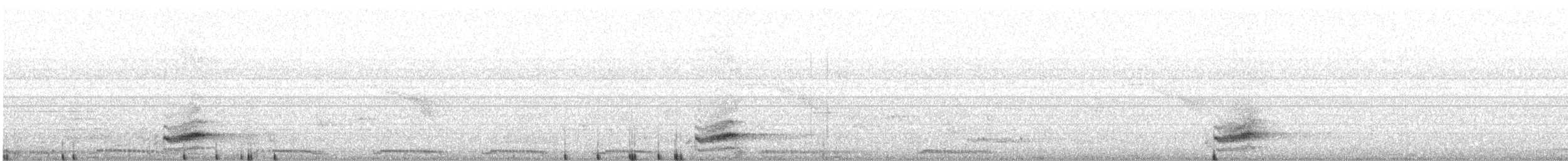 svarthettepirol - ML646286476