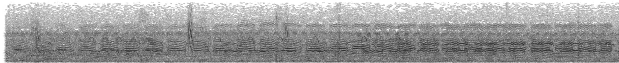 Cratérope gris - ML646286591