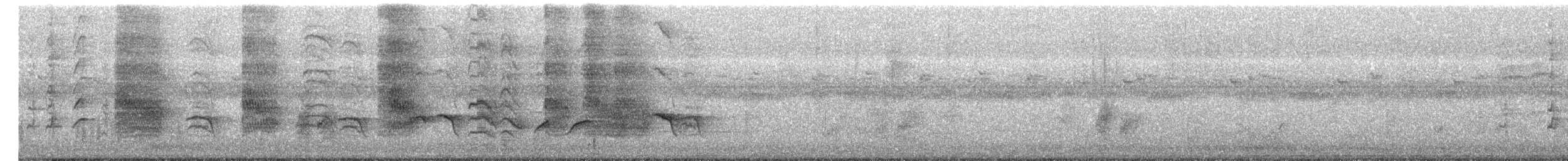 Bronzed Drongo - ML646286823