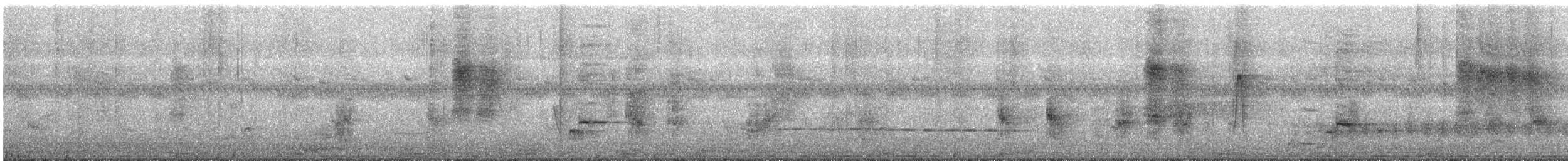 Bronzed Drongo - ML646286836