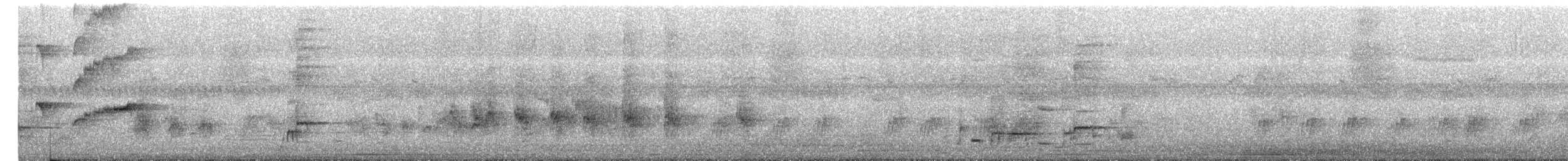 Bronzed Drongo - ML646286851