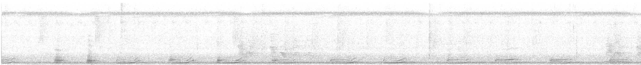 Bare-faced Curassow - ML646286862