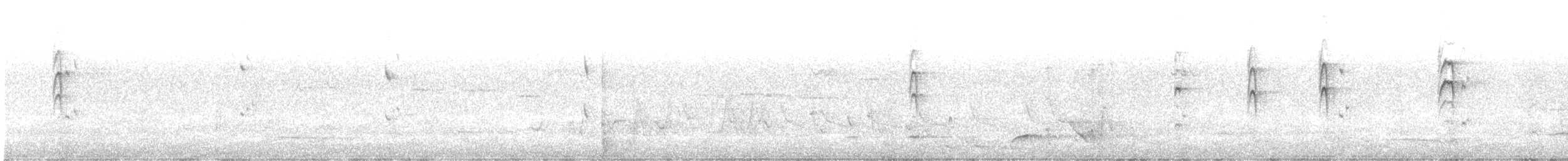 Gray Fantail (alisteri) - ML646286993