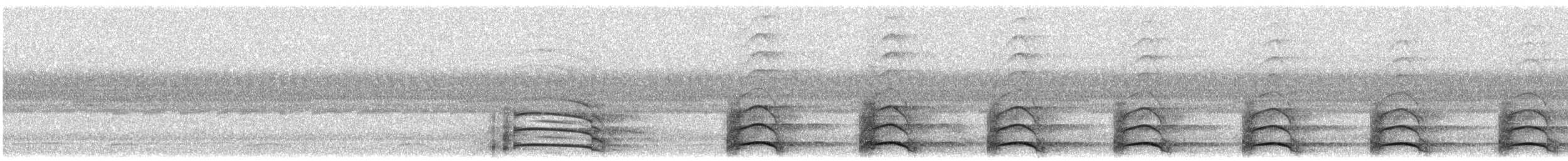 Limpkin - ML646287001