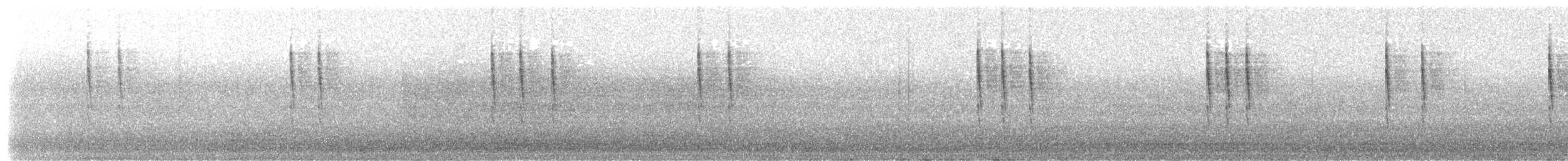 Pacific Wren - ML646287181