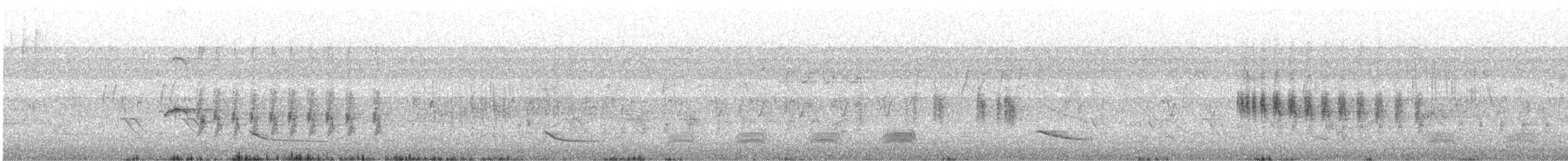 Common Iora - ML646287189