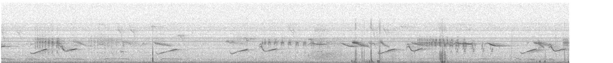 Common Iora - ML646287190