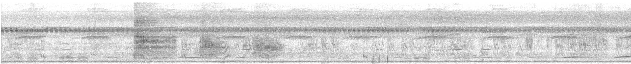 Black-capped Donacobius - ML646287196