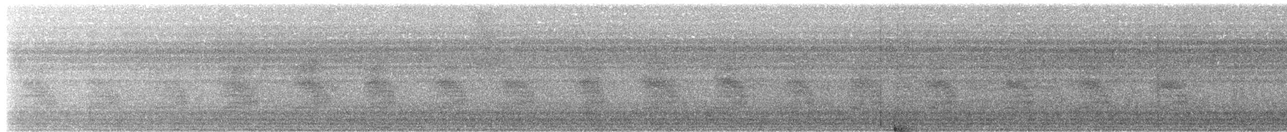 Steller's Jay - ML646287278