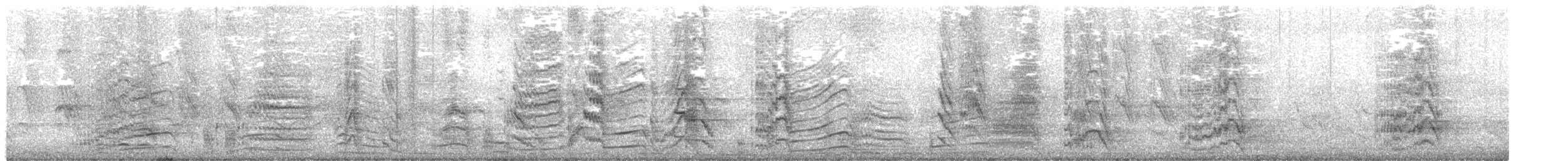 Rose-ringed Parakeet - ML646287311