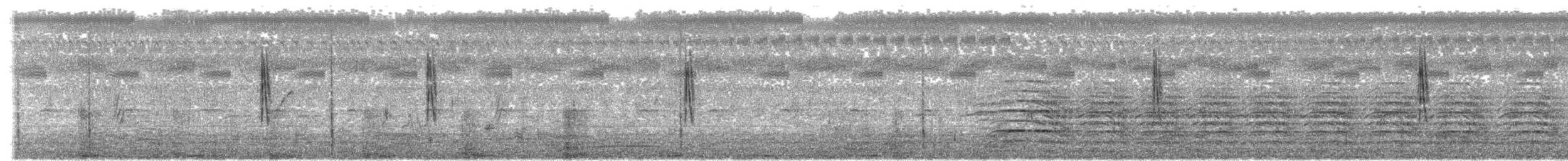 pipit sp. - ML646287328