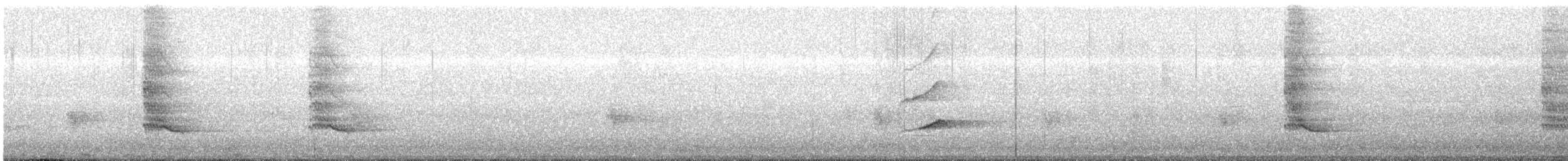 大卷尾 - ML646287514