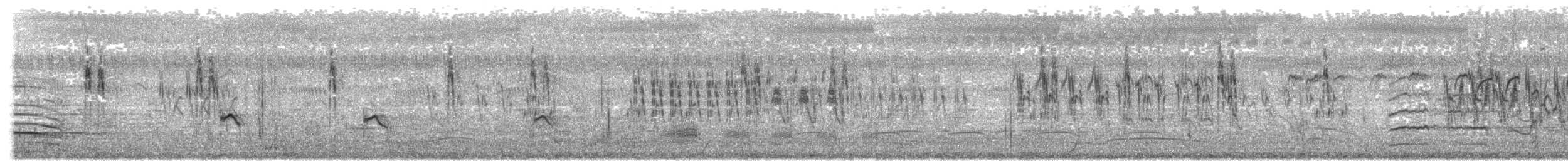 bird sp. - ML646287598