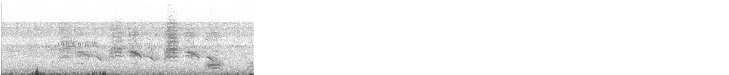 Black Drongo - ML646287696