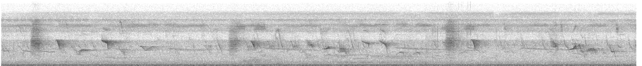 Black Drongo - ML646287717