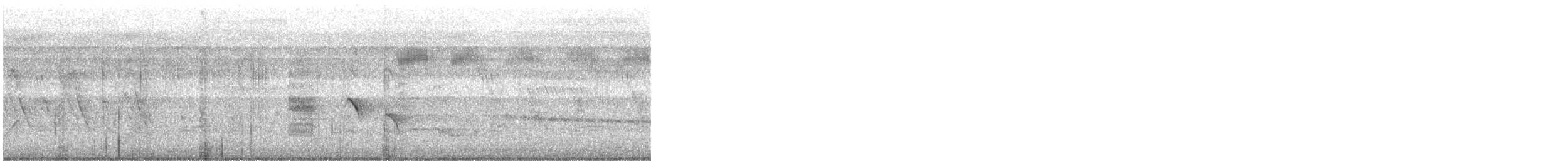 Black Drongo - ML646287718