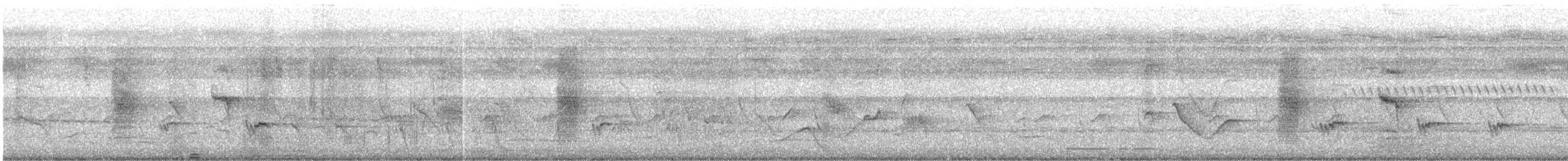 Black Drongo - ML646287719