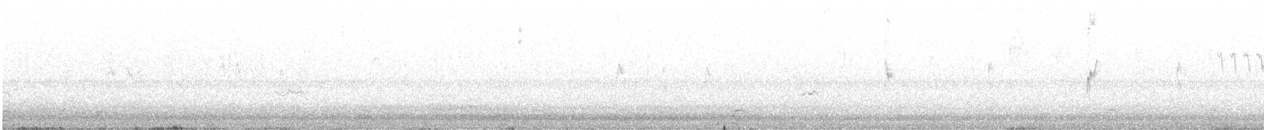 American Golden-Plover - ML646287832