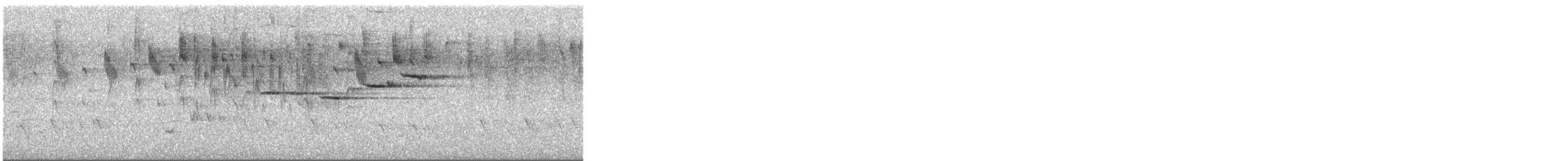 Graufächerschwanz - ML646288231