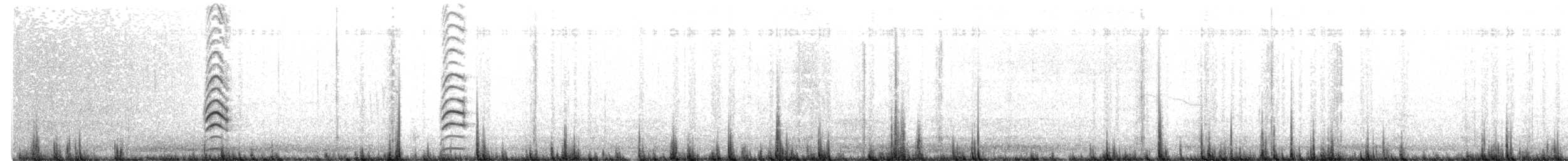 Rußstelzenläufer - ML646288394