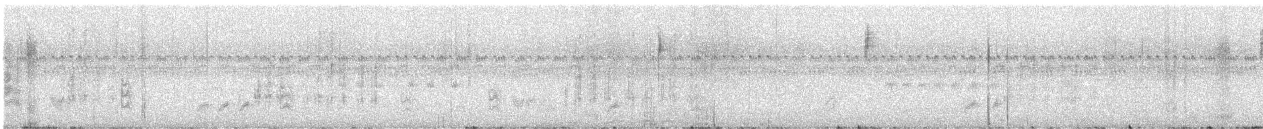 Zwergammer - ML646288417