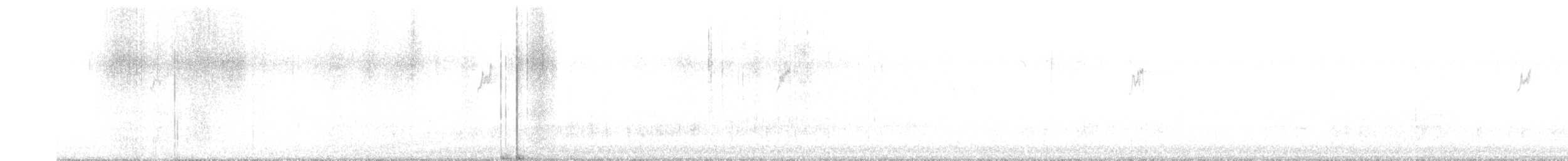 Chevalier cul-blanc - ML646288944