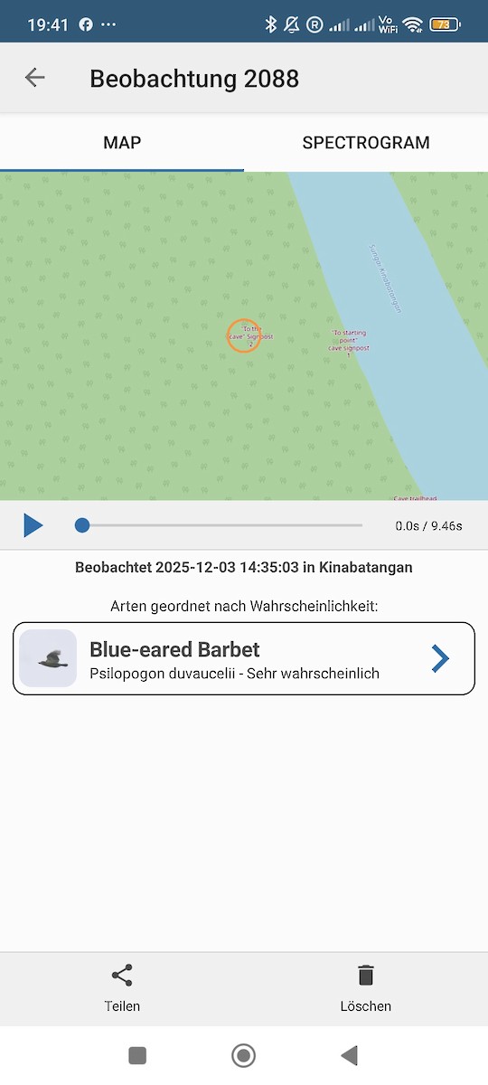 Black-eared Barbet - ML646289373