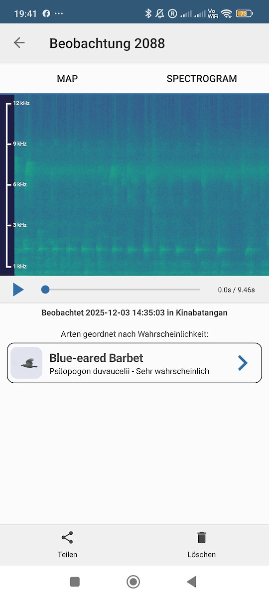 Black-eared Barbet - ML646289374