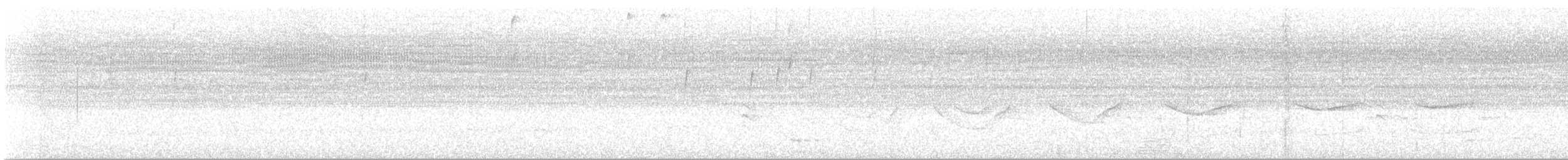 Band-tailed Antwren - ML646289641