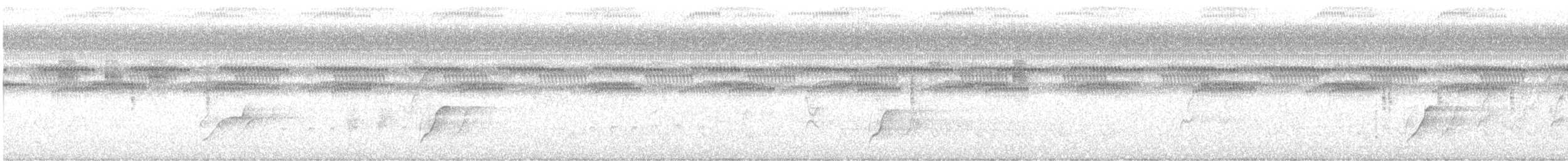 セアオマイコドリ - ML646289720