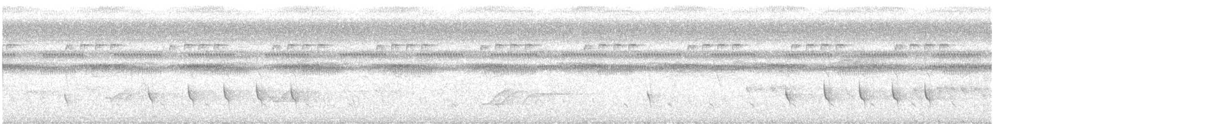 Southern White-fringed Antwren - ML646289821