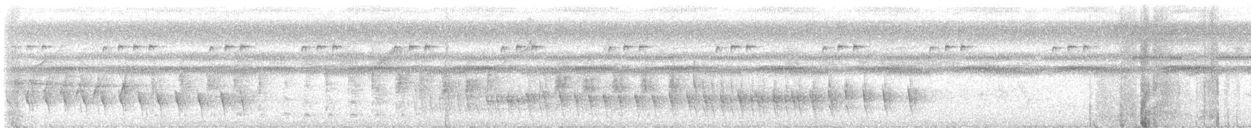 Fournier bridé - ML646289822