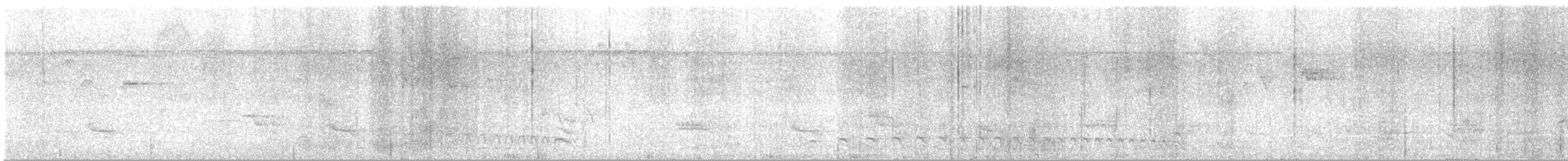 Batara mantelé - ML646289824