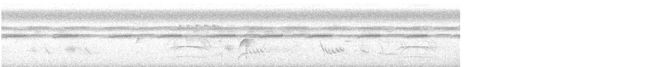 Hirondelle chalybée - ML646289827