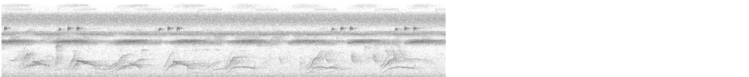 Ani à bec lisse - ML646289832