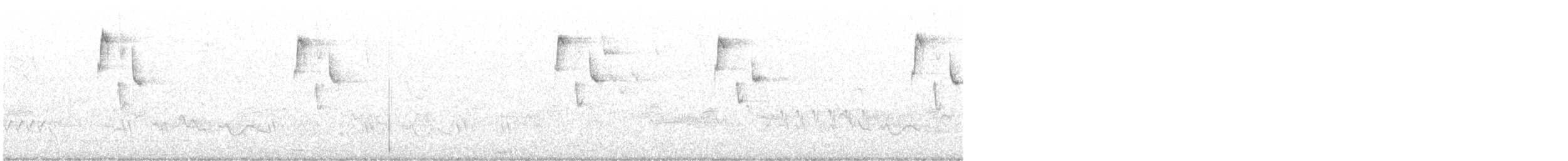 Conirostre bicolore - ML646289872