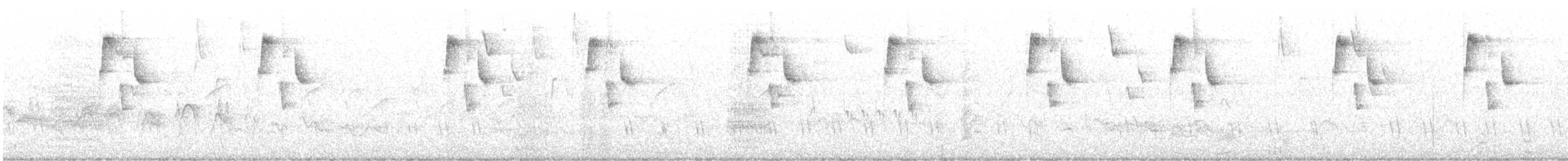 Conirostre bicolore - ML646289873