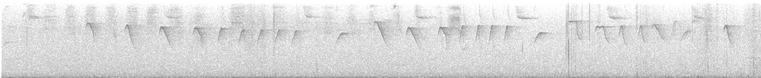 Ermite roussâtre - ML646289963