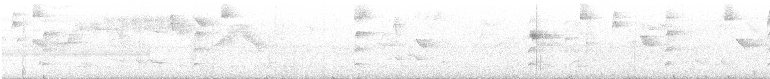 White-bellied Tody-Tyrant - ML646289979