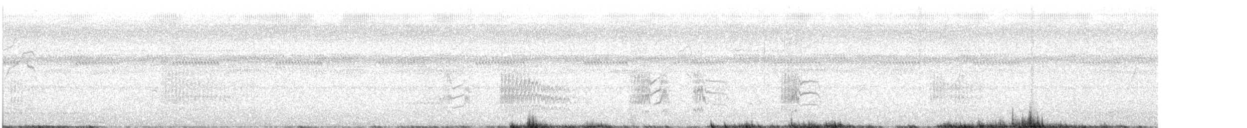 Donacobe à miroir - ML646290016