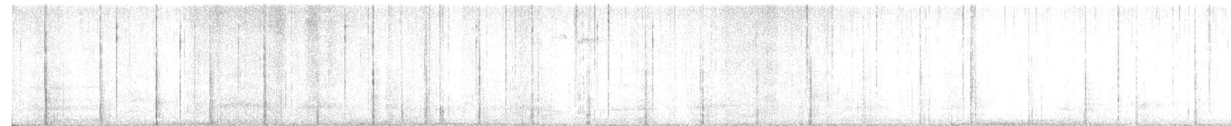 Mésange charbonnière (groupe major) - ML646290569