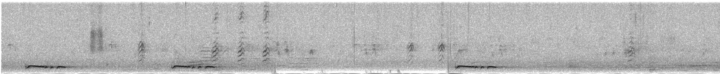 Zebra Dove - ML646290614