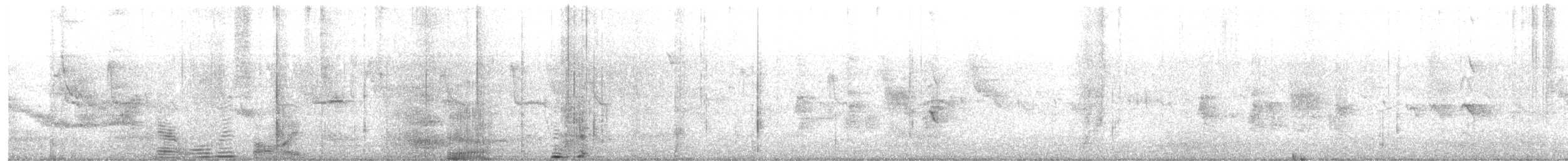 bird sp. - ML646290829