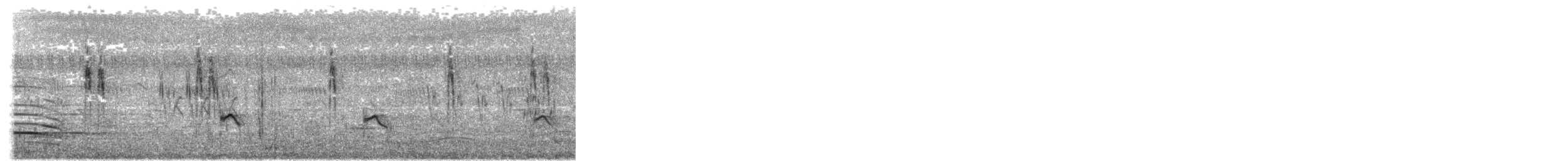 White Wagtail - ML646290878