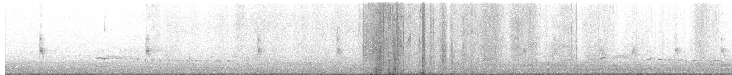 Sora Suyelvesi - ML646291215